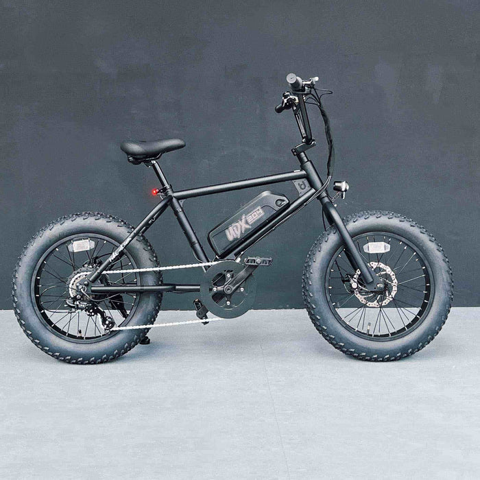 UDX_204_Basic_e_bike_700x