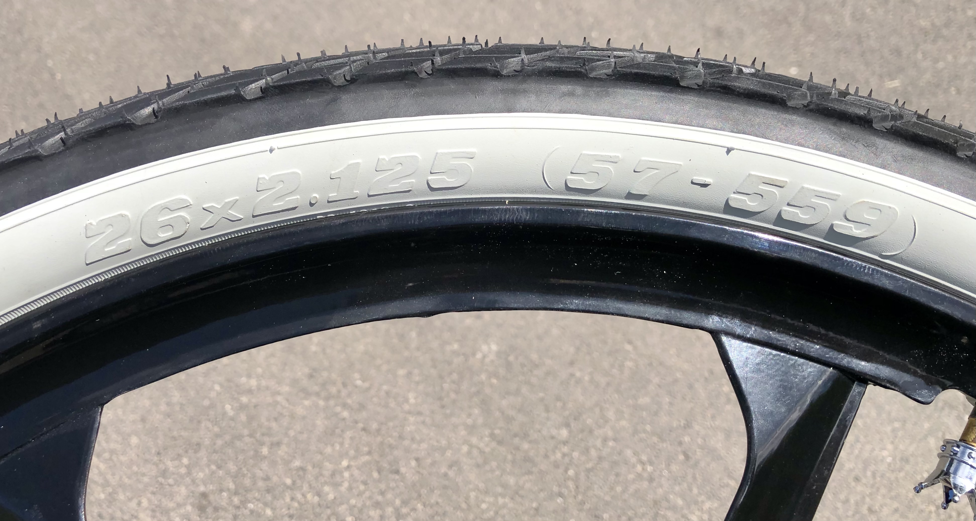 Tire_Beach_Bum_26x2-125_size